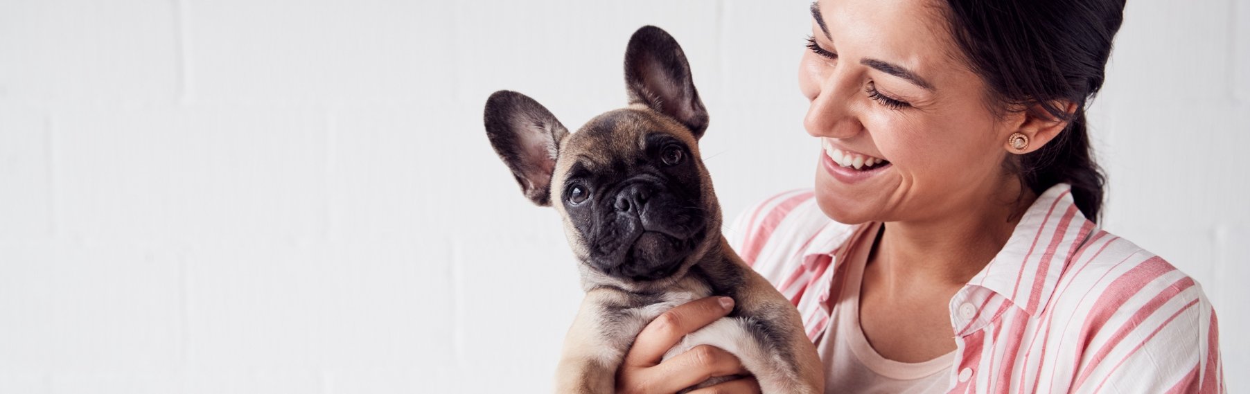 Pet Store Banner