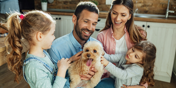 Petland’s Top 5 Breeds for Families