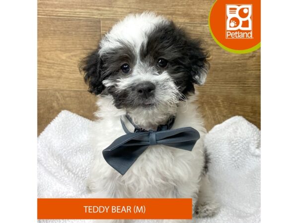 Teddy Bear – 9532