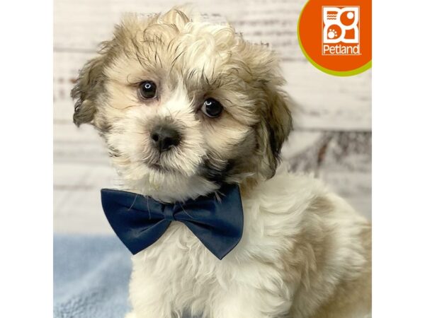 Teddy Bear – 9549